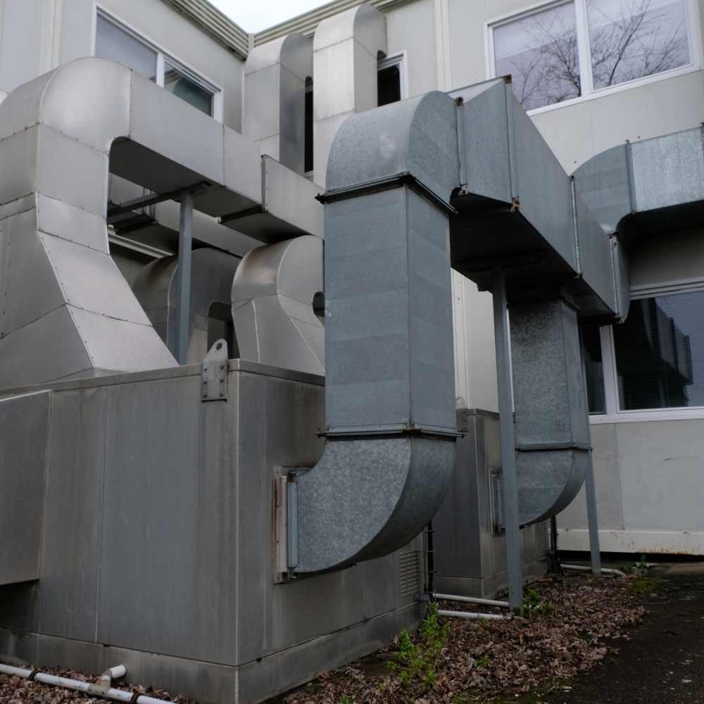 Specialized Services